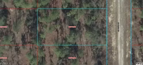 06877-028 SE 00 Se 135th Ct, Williston, FL 32696