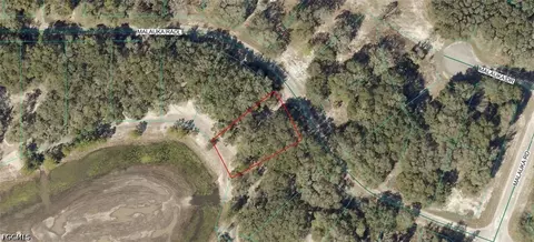 9031-0946 38 Malauka Radl, Ocklawaha, FL 32179