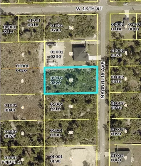 1219 Magnolia Ave, Lehigh Acres, FL 33972