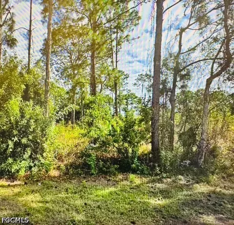 719 Foxtail St E, Lehigh Acres, FL 33974