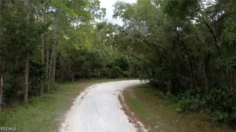 7176 Norway St, Webster, FL 33597 photo 6