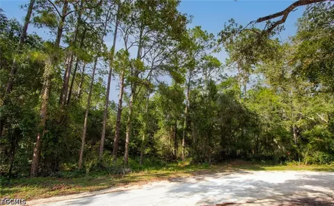 7176 Norway St, Webster, FL 33597 photo 14