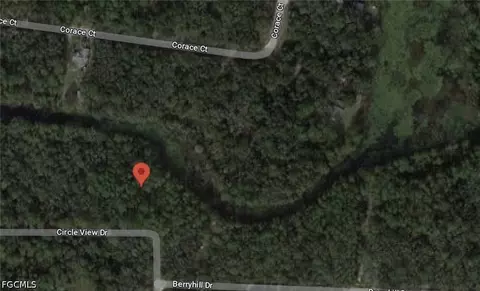 7176 Norway St, Webster, FL 33597 photo 2