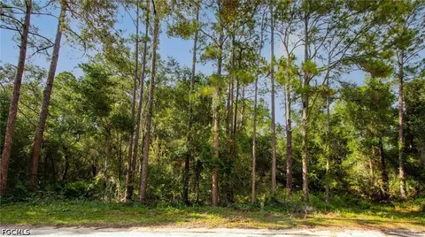 7176 Norway St, Webster, FL 33597 photo 13