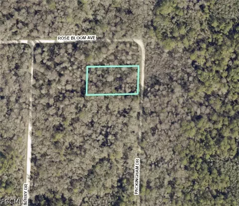 8009 Packingham St, Webster, FL 33597