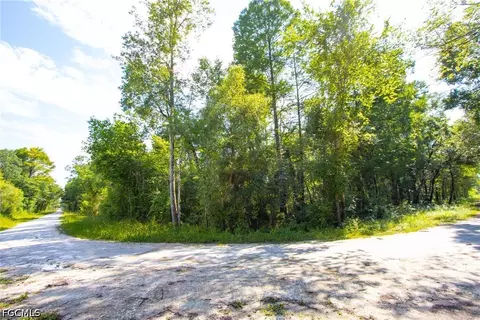 33464 Packingham Dr, Webster, FL 33597 photo 2