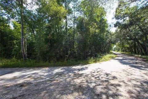33464 Packingham Dr, Webster, FL 33597 photo 3