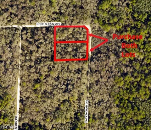 33464 Packingham Dr, Webster, FL 33597 photo 4