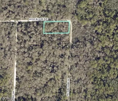 33464 Packingham Dr, Webster, FL 33597