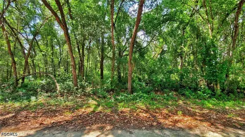 35084 Batesfield St, Webster, FL 33597 photo 4