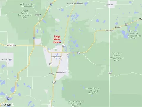 35084 Batesfield St, Webster, FL 33597 photo 7