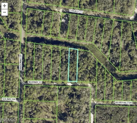 7200 Norway St, Webster, FL 33597