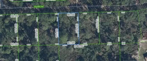 3224 Spoonbill Ave, Lake Placid, FL 33852