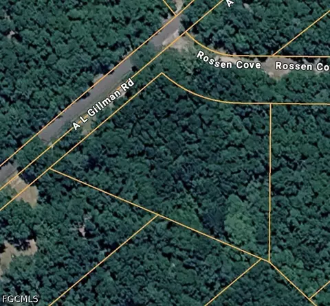 Rosson Cv, Baker, FL 32531 photo 2