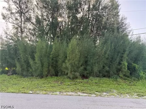 137 SW 34th Ave, Cape Coral, FL 33991