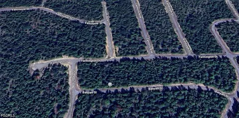 Banyam St, Chipley, FL 32428 photo 2