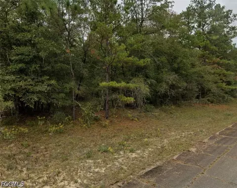 Darlington Dr, Chipley, FL 32428 photo 2