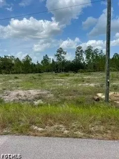 1216 Maple Ave N, Lehigh Acres, FL 33972