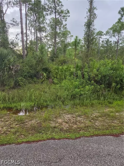 2310 Truman Ave, Alva, FL 33920 photo 2
