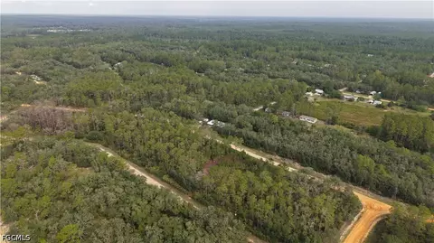 Undisclosed, Interlachen, FL 32148 photo 7