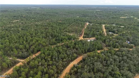 Crocus Ln, Interlachen, FL 32148 photo 22