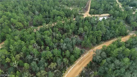 Crocus Ln, Interlachen, FL 32148 photo 38