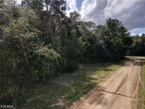 0 Franklin St, Interlachen, FL 32148 photo 43