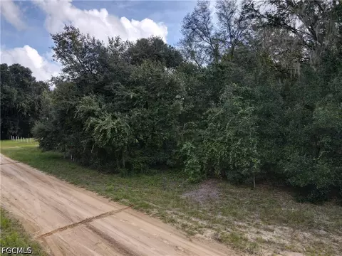 0 Franklin St, Interlachen, FL 32148 photo 44