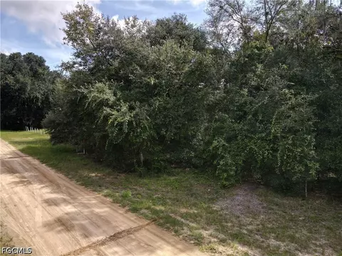 0 Franklin St, Interlachen, FL 32148 photo 23