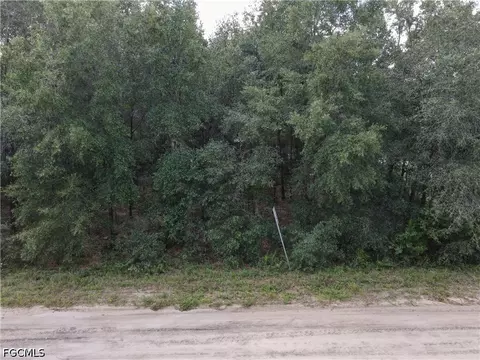 0 Franklin St, Interlachen, FL 32148 photo 5