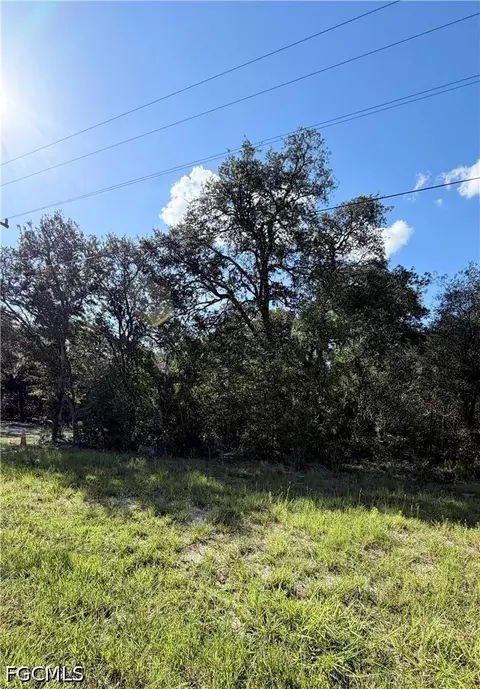 NE 106th Ter, Williston, FL 32621 photo 3