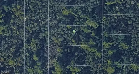Evelyn St, Deltona, FL 32738