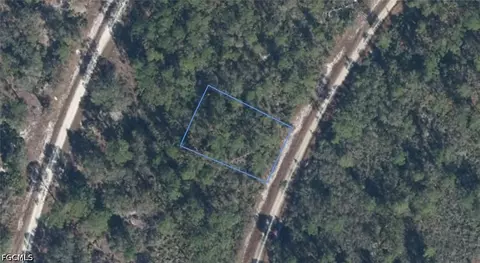 818 Hollywood St, Lake Placid, FL 33852
