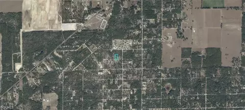 NE 91st Pl, Bronson, FL 32621 photo 3