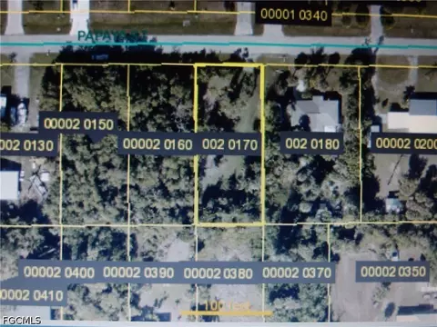 3615 Papaya St, Saint James City, FL 33956