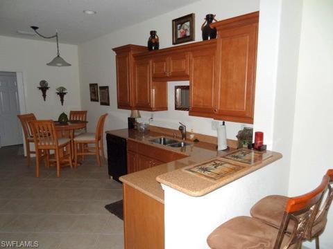 20328 Larino Loop, Estero, FL 33928 photo 6