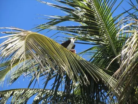 2606 Second St, Matlacha, FL 33993 photo 7
