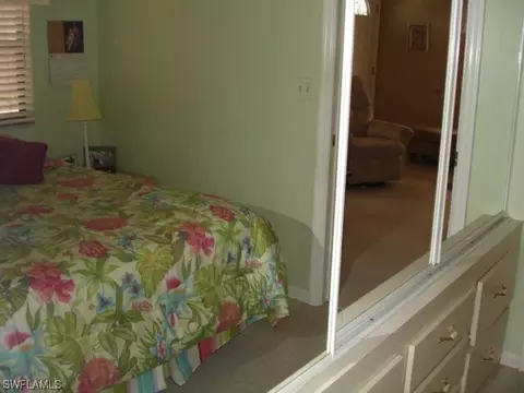 20140 Plum Tree Ln, Estero, FL 33928 photo 10