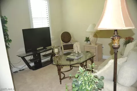 20442 Black Tree Ln, Estero, FL 33928 photo 13
