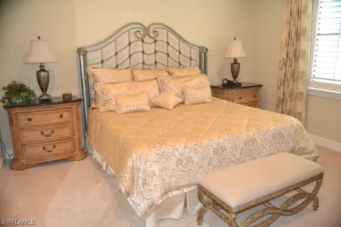 20442 Black Tree Ln, Estero, FL 33928 photo 9