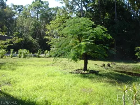 20174 Park Ave, Estero, FL 33928 photo 5