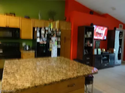 1107 Ectone St E, Lehigh Acres, FL 33974 photo 9
