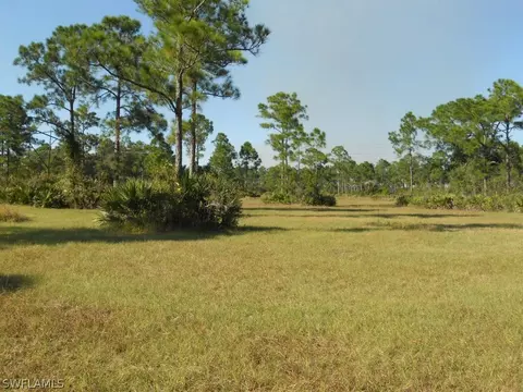 2995 Bateman Rd, Alva, FL 33920 photo 17