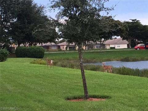 20146 Larino Loop, Estero, FL 33928 photo 19