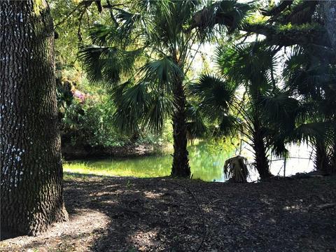 585 Oklahoma Ave, Labelle, FL 33935 photo 5