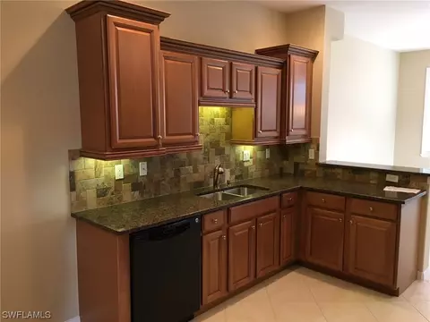 20220 Larino Loop, Estero, FL 33928 photo 9