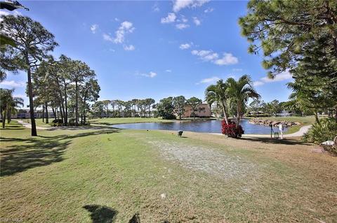 4111 Lorene Dr #306, Estero, FL 33928 photo 19