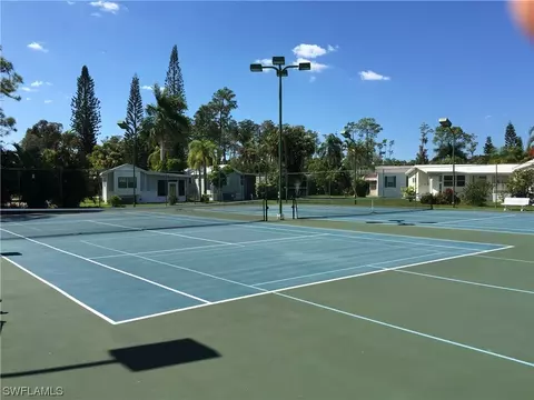 10705 Red Cardinal Cir, Estero, FL 33928 photo 18