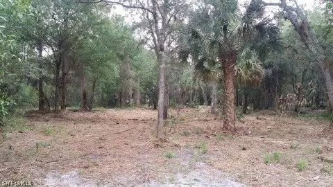 204 Trader Rd, Fort Denaud, FL 33935 photo 4