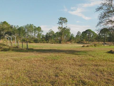 1168 E Red Rd, Labelle, FL 33935 photo 21